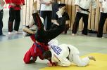 2. Bundesliga der M�nner in Babelsberg am 26.06.2010