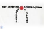 NJV-Sommerschule in Hannover am 14.07.2018